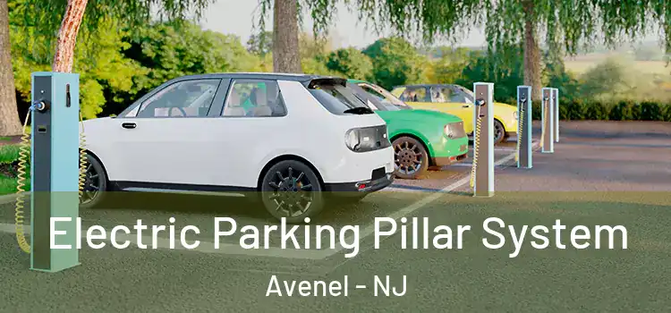 Electric Parking Pillar System Avenel - NJ